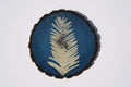 Cyanotype on wood - Plant Study 2