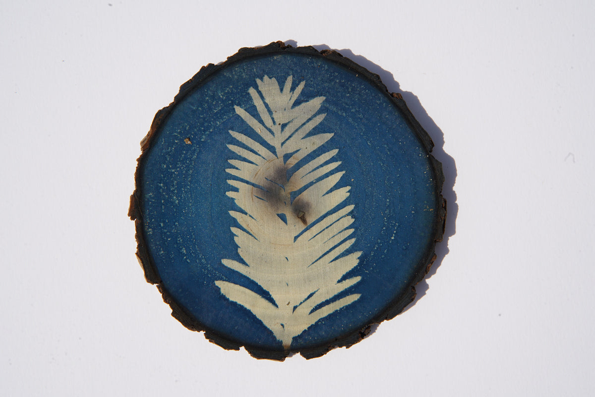 Cyanotype on wood - Plant Study 2