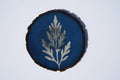 Cyanotype on wood - Plant Study 1
