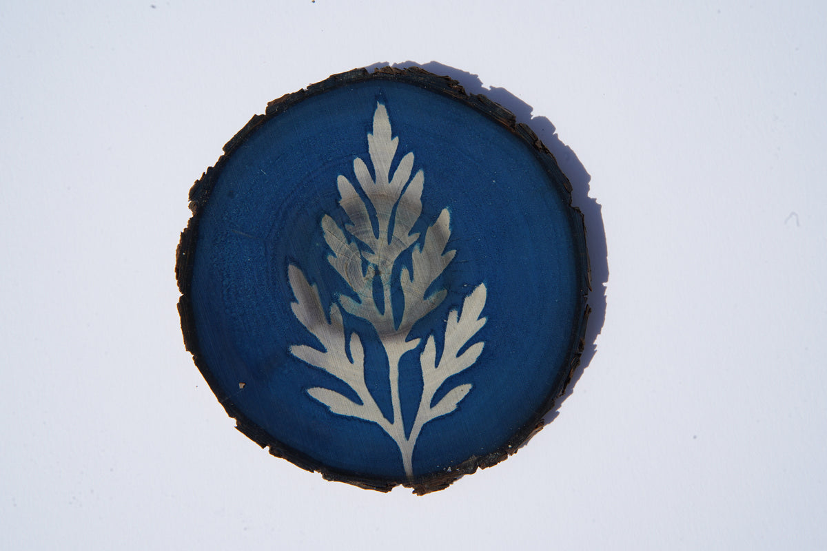 Cyanotype on wood - Plant Study 1